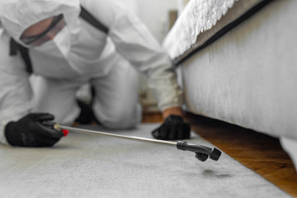 Professional Pest Control technician working in Webster County County, GA